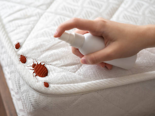 Best Indoor Pest Control  in Ada, MN